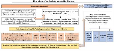 A comprehensive landscape analysis of autophagy in cancer development and drug resistance